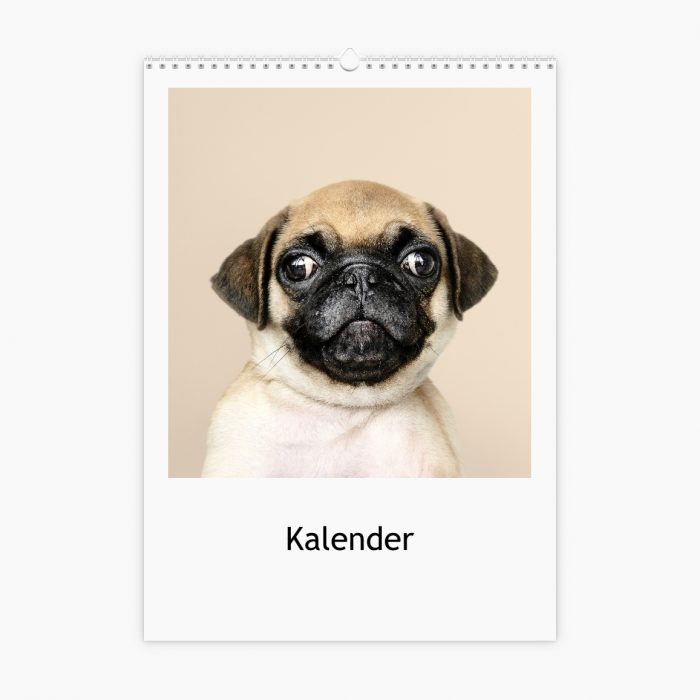 Fotokalender -Thematisch