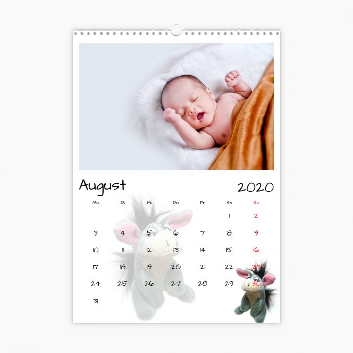 Fotokalender - Kuscheltiere