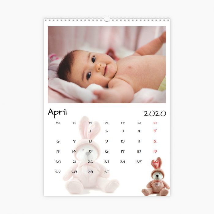 Fotokalender - Kuscheltiere