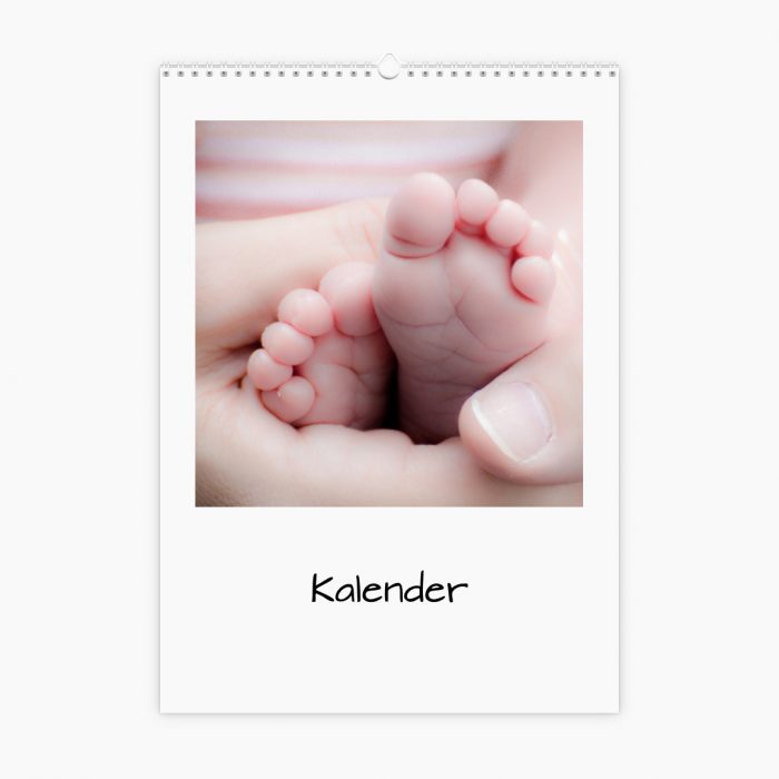 Fotokalender - Kuscheltiere