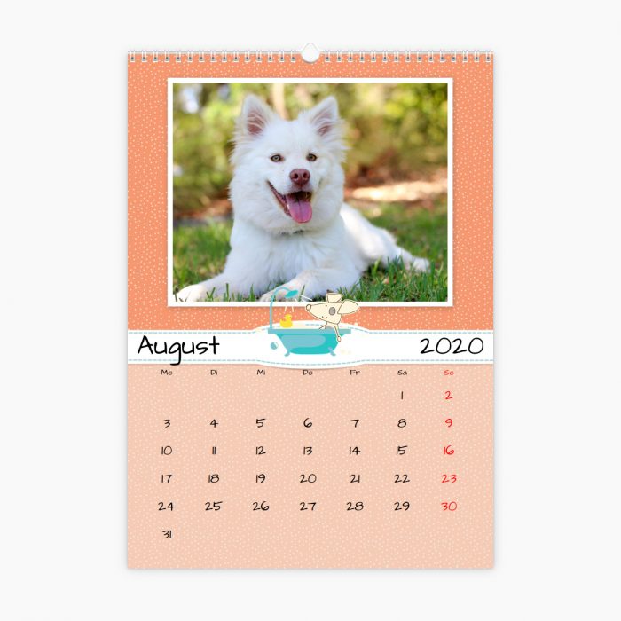 Fotokalender - wie Hund und Katze
