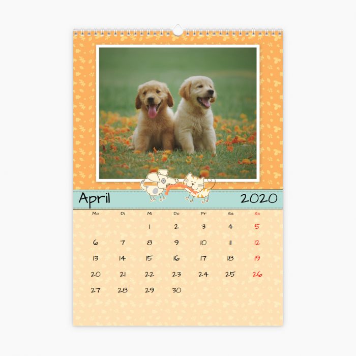 Fotokalender - wie Hund und Katze