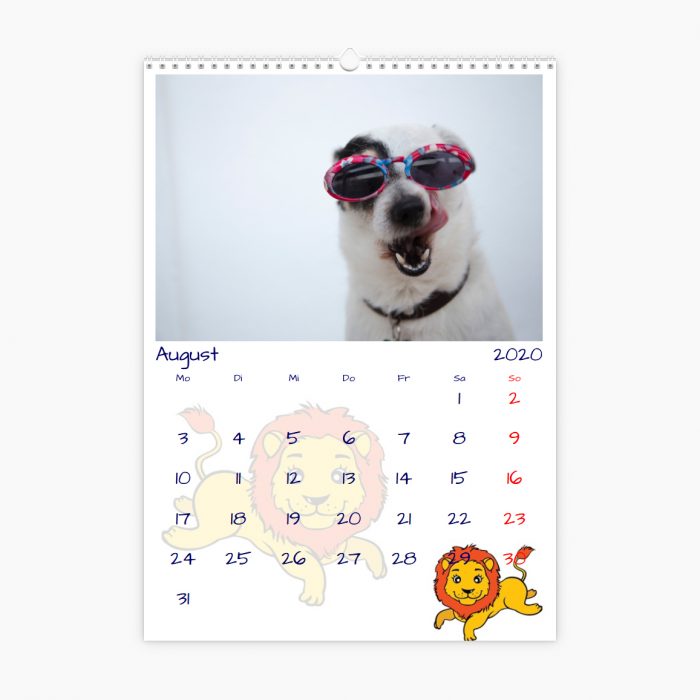 Fotokalender - Tierwelt