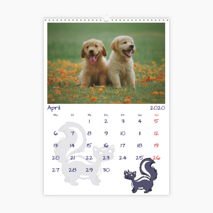 Fotokalender - Tierwelt