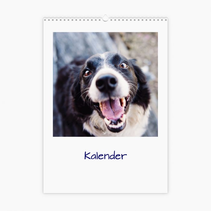 Fotokalender - Tierwelt