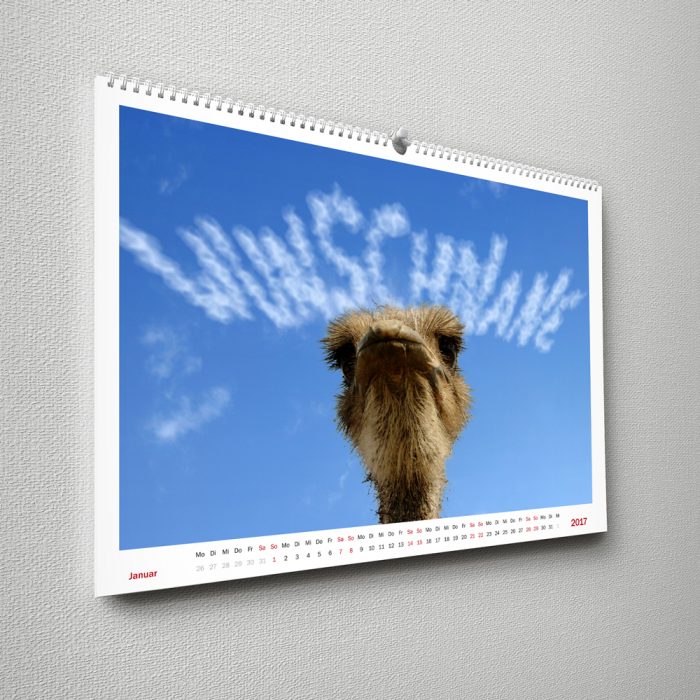 Wandkalender Tiere