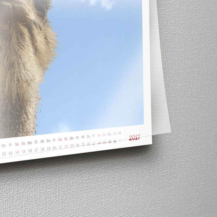 Wandkalender Tiere